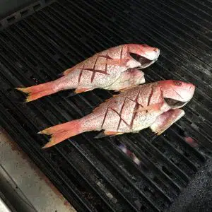 snapper scored on grill