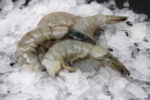 U-15 Wild Mexican White Shrimp (5 lbs)