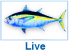 This item is available live. Live