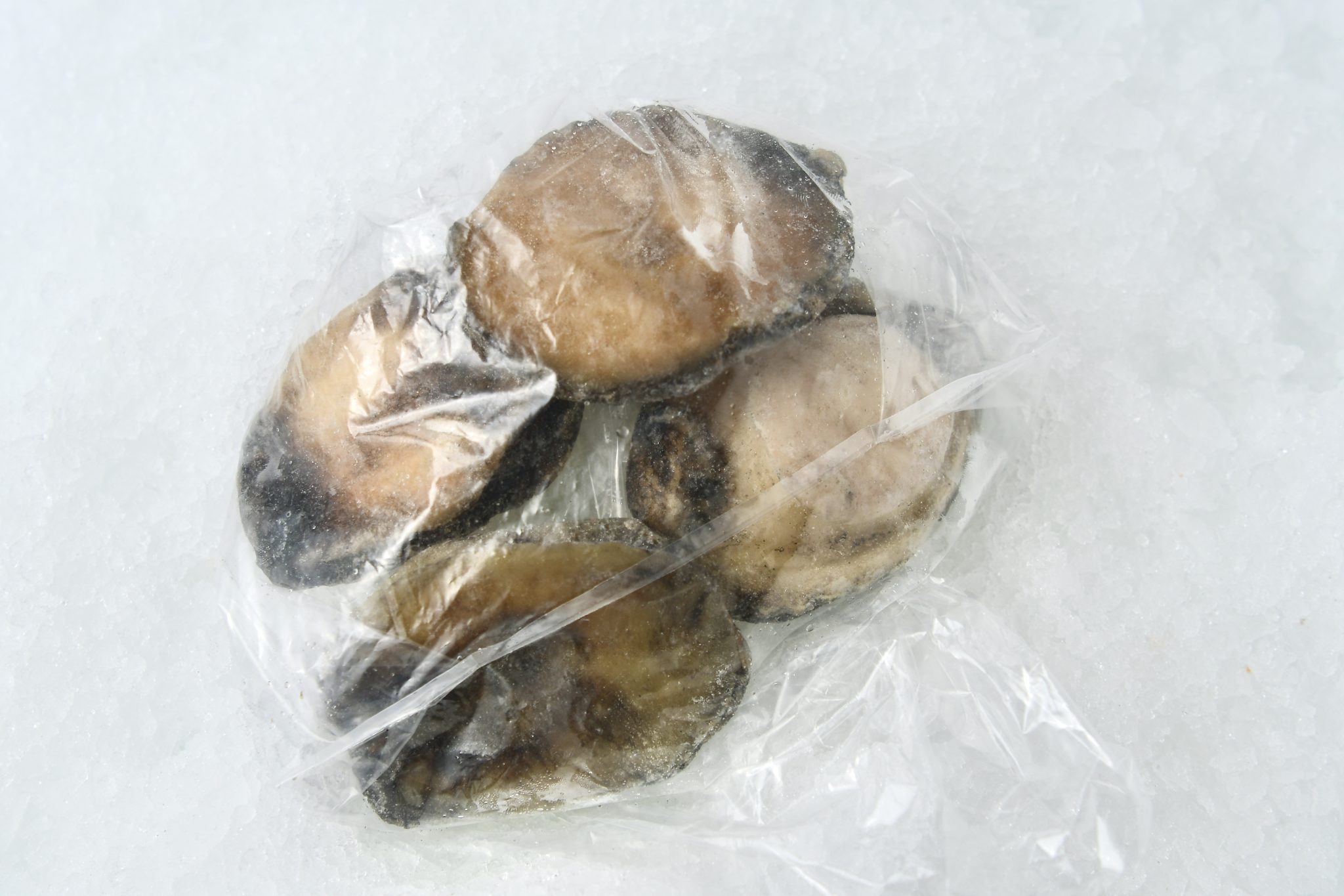 Buy Abalone, Wild Untrimmed Meat Catalina Offshore Online Fish Market