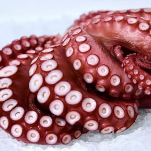Whole Madako octopus