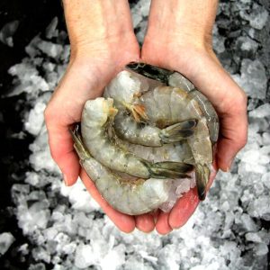 Shop - Order/Buy Premium Fresh Seafood Online