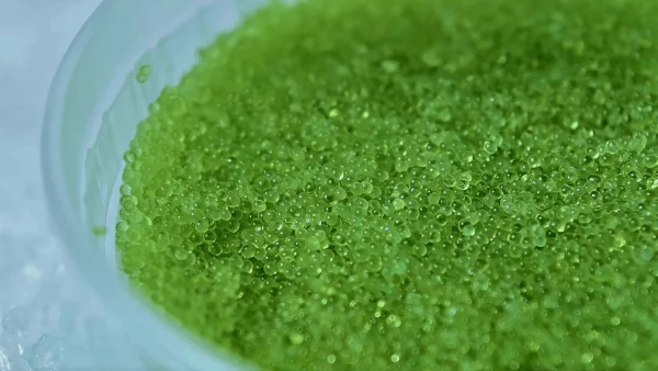 Tobiko Caviar Green