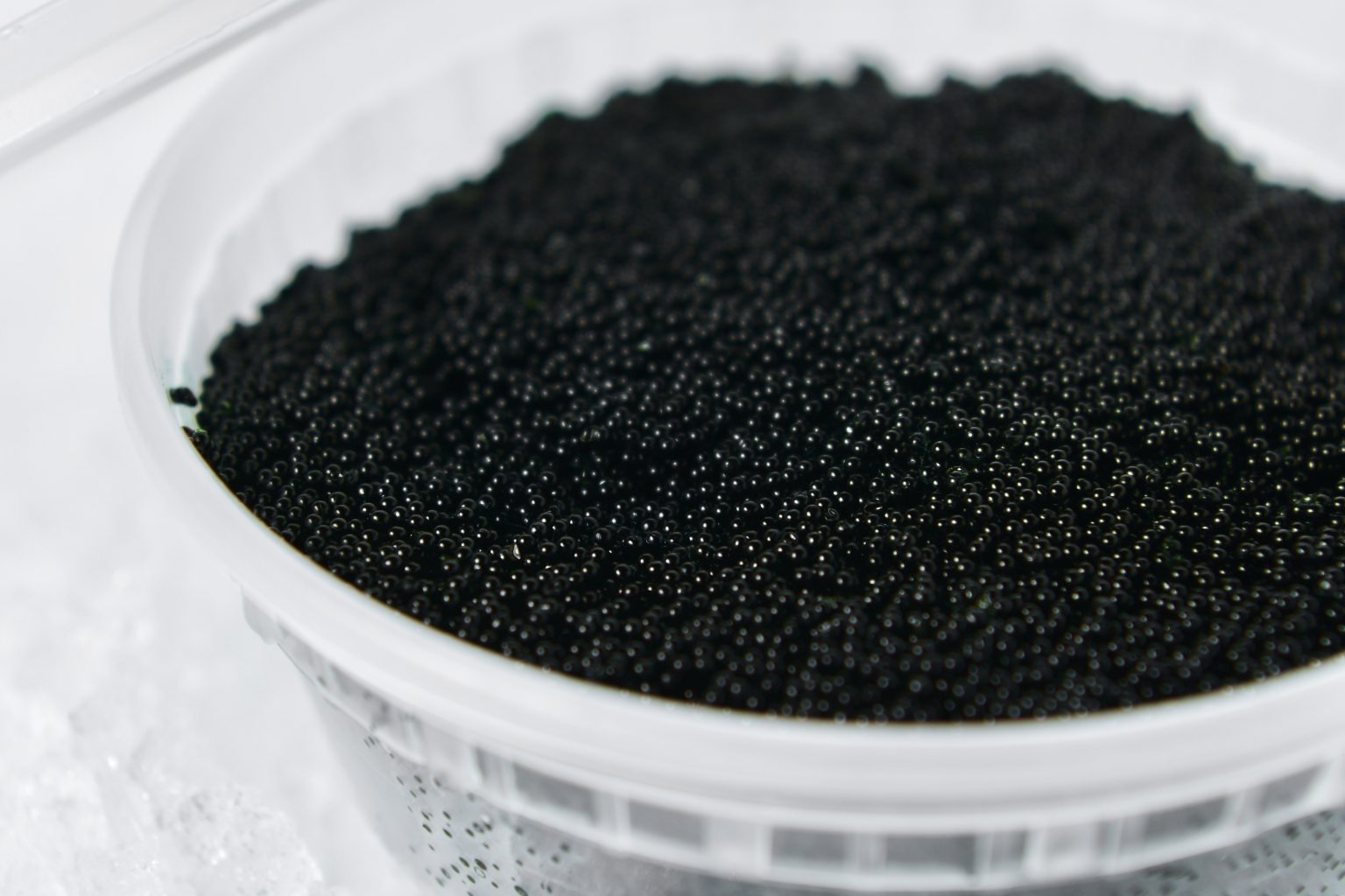 Tobiko Caviar (Flying Fish Roe) Black - Catalina OP