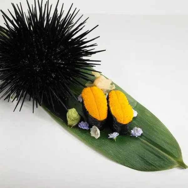 Gold Uni (California) 100g