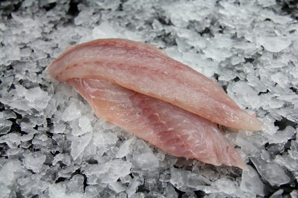 Snapper Fillet