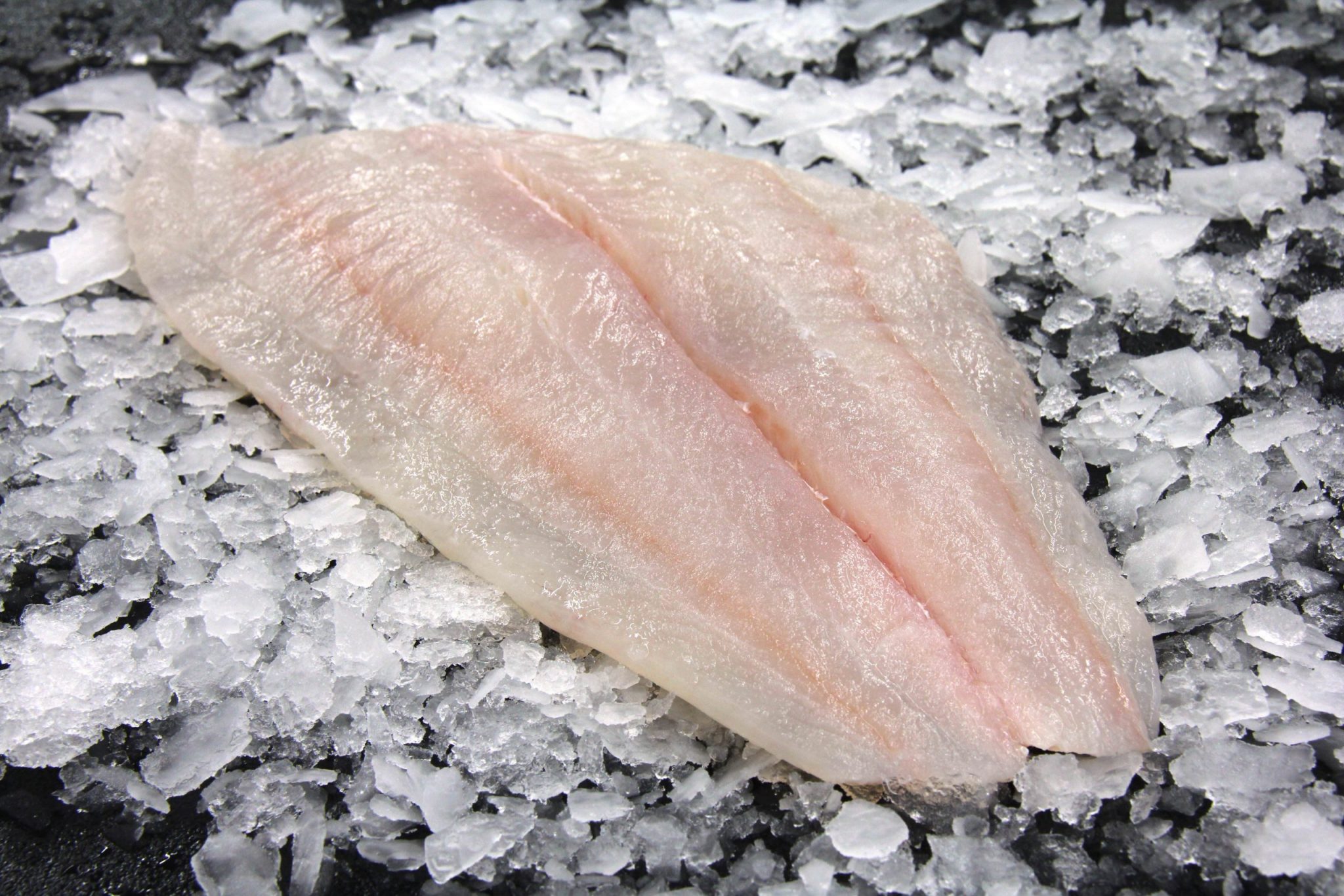 Halibut Flounder Fillet Catalina Op Online Fish Market