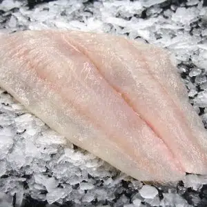 Halibut (Flounder) Fillet