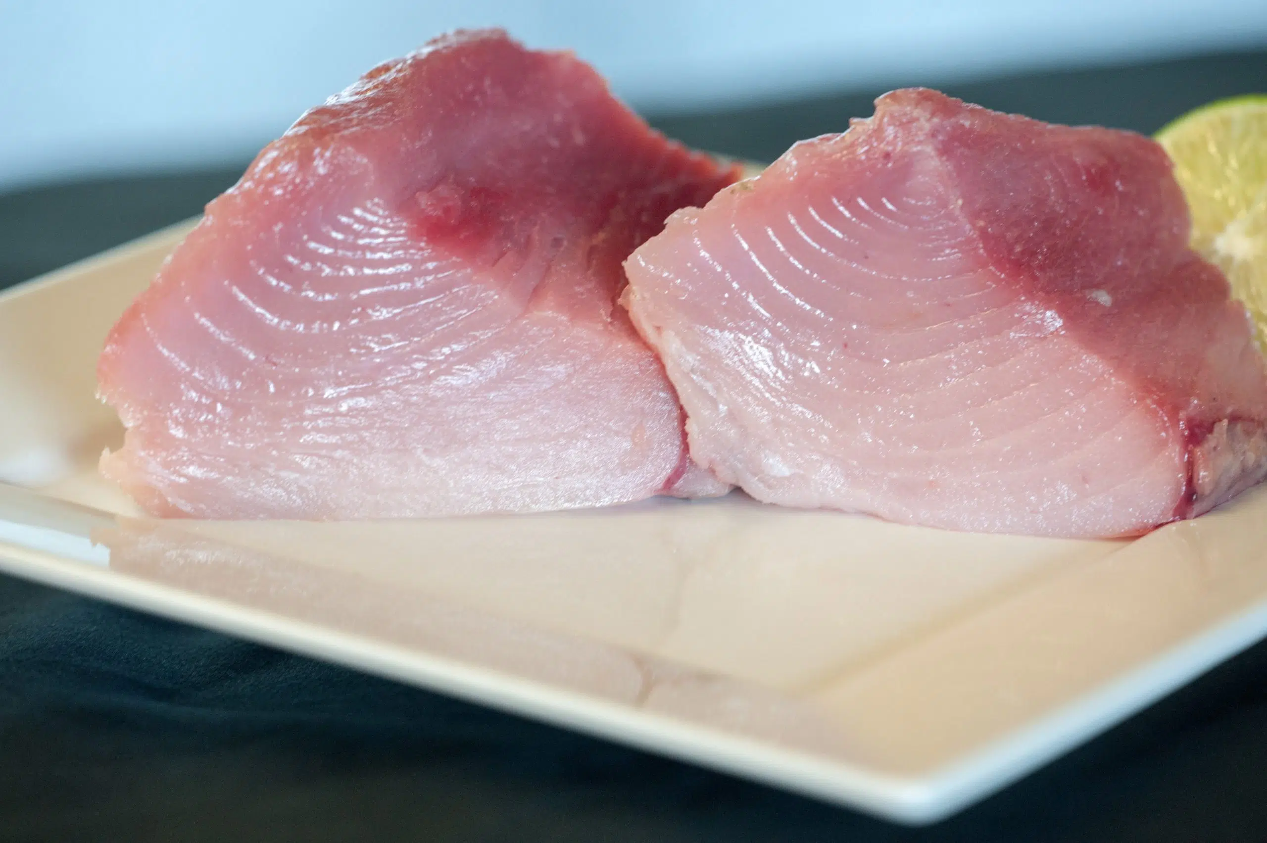 Albacore tombo