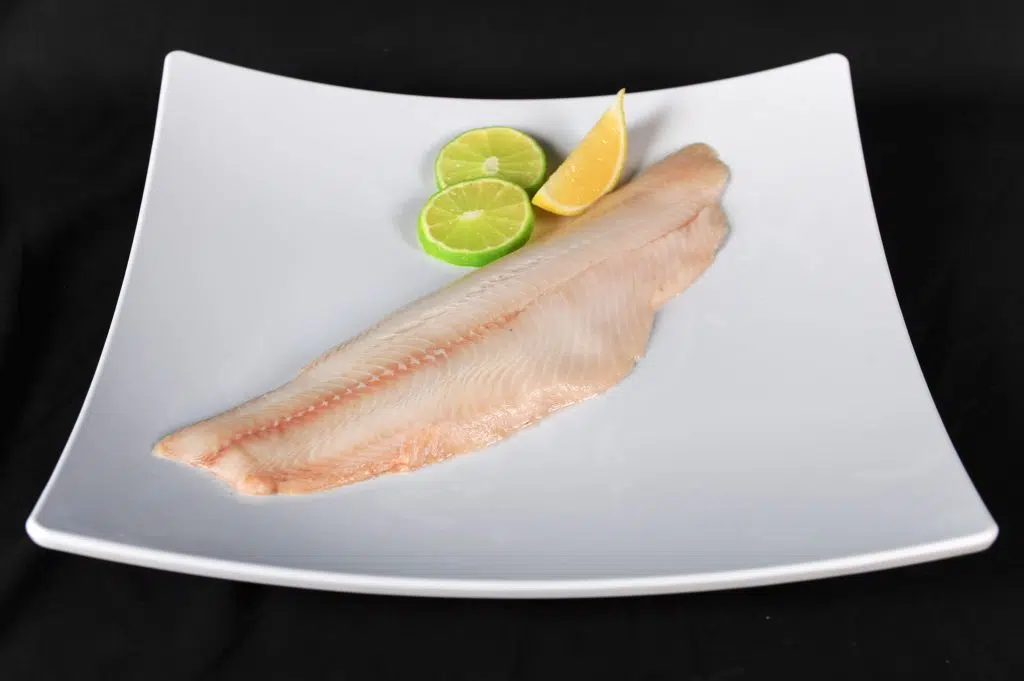 Wild black cod fillet