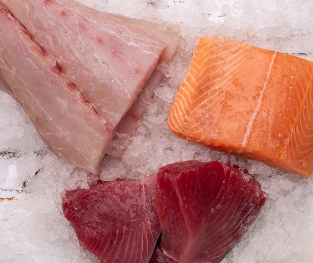 Sushi Making Kit  Catalina OP Online Sushi Fish Market