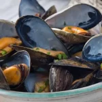 Baja black mussels