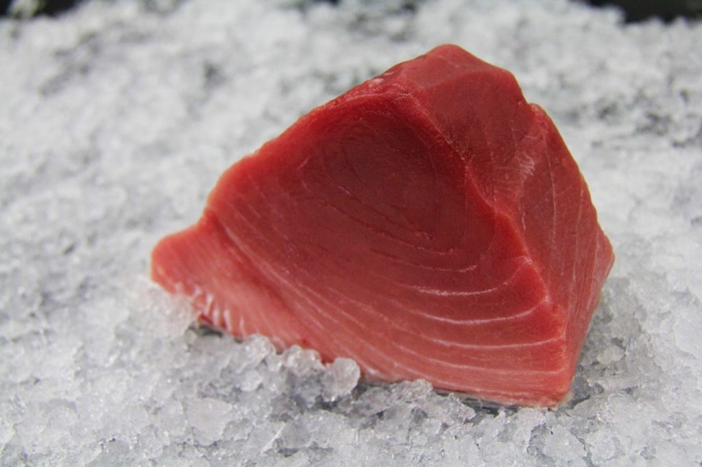 Sushi grade farmed bluefin loin